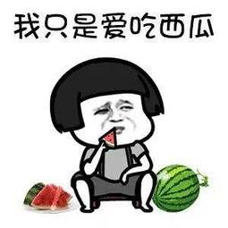 吃瓜娱乐污下载,带你走进网络娱乐的暗流涌动