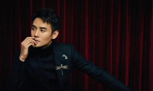 吃瓜娱乐圈八卦王凯,娱乐圈吃瓜王，揭秘明星幕后故事