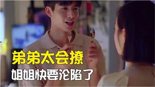 娱乐圈中的吃瓜爱好者是什么